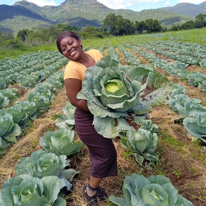 Agric_young's tweet photo. My name is Anita Mavezera (23). I studied tourism &amp; hospitality. I am Zimbabwean, but I am currently farming in SA 🇿🇦. My company's name is Agriculture Lovers, and I have two #farms where I produce #vegetables.

#agriculture #farming #farmer Boity  #agribusiness #farmlife #NOTA https://t.co/gAmv9mnZGv