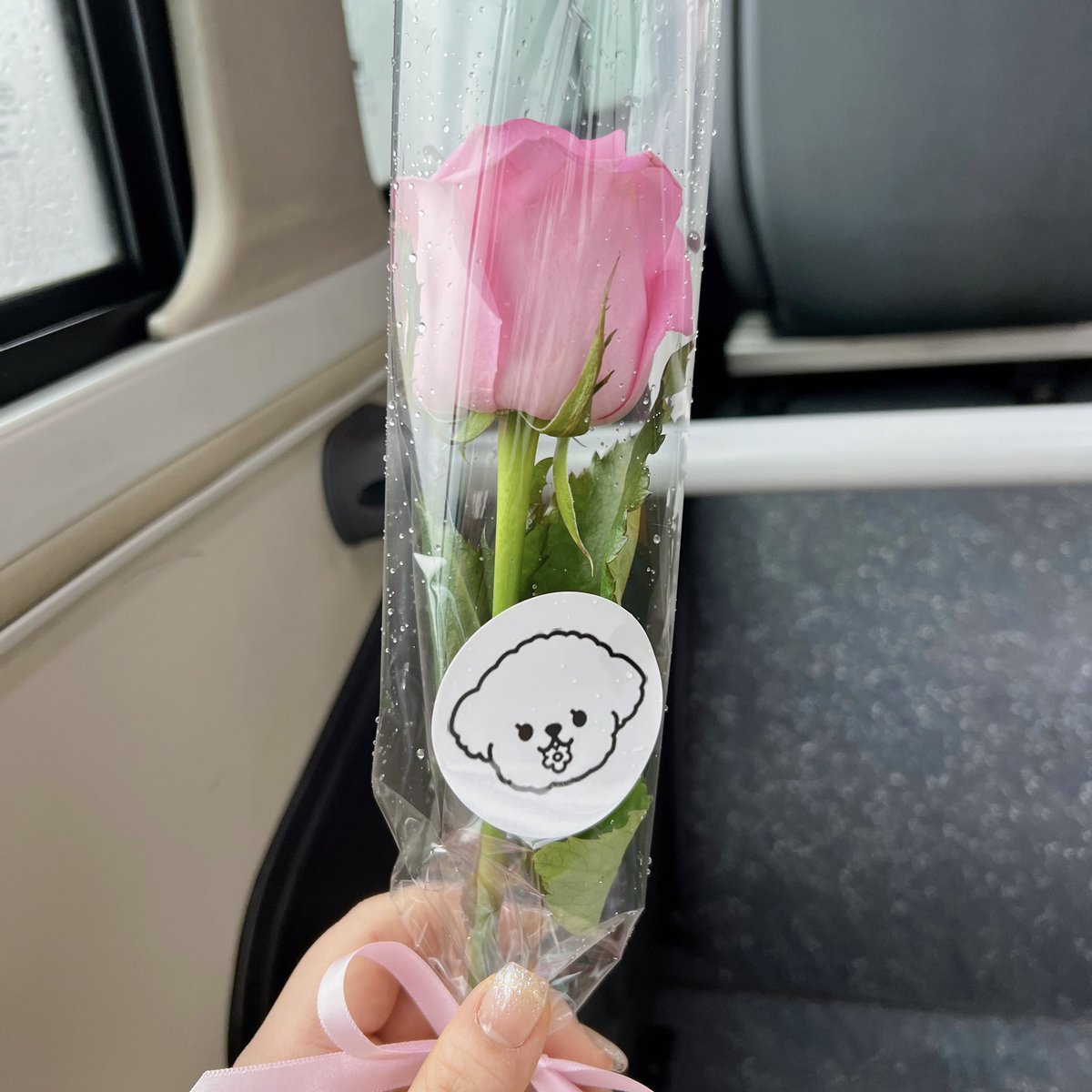 3__13_'s tweet photo. ① 주리플라워🌷

#봄을물어온강아지 #Spring_puppy

눈 뜨자마자 홍대갔다가 허탕치고 용산 돌아와서 제일 먼저 갔는데 이럴 줄 알았으면 홍대 가지 말고 바로 용산 올걸 후회하게 만들만큼 넘 예뻤어요🥺 쪼꼬만하게 꾸며져있는 범규보는 재미도 있고 넘 특전도 귀엽더라구요 예쁜 이벤트 감사해요 https://t.co/xHN9kFk9QJ