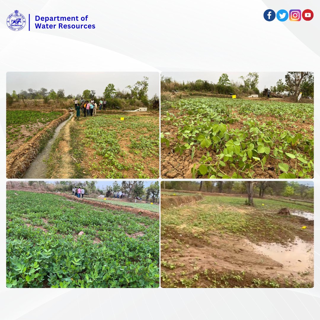 OdishaWater's tweet photo. Megalift points working wonders in Malkangiri district!
Availability of water enabling farmers to grow groundnut, green gram, and pearl millet during Rabi.
@CMO_Odisha @TukuniSahu @_anugarg
#MalkangiriDistrict #RabiSeason #AgriProgress https://t.co/781MUifF6R