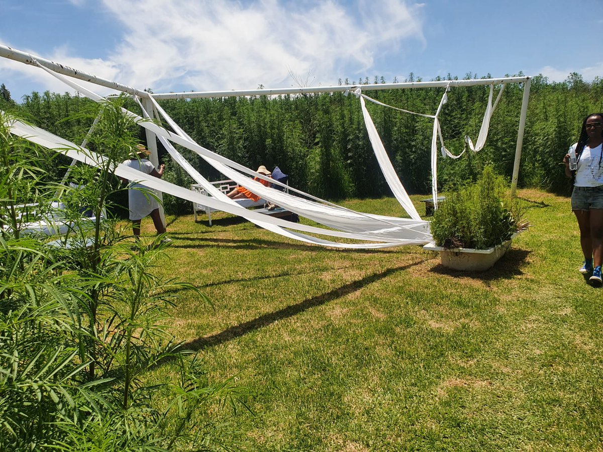 Just bring a reading book, a partner or the entire family and let's enjoy the discussions under the beautiful African skies while relaxing in the huge garden 😎📚🌞🌤️🌴🍹 danko!
#soulwetobooknic 🔌