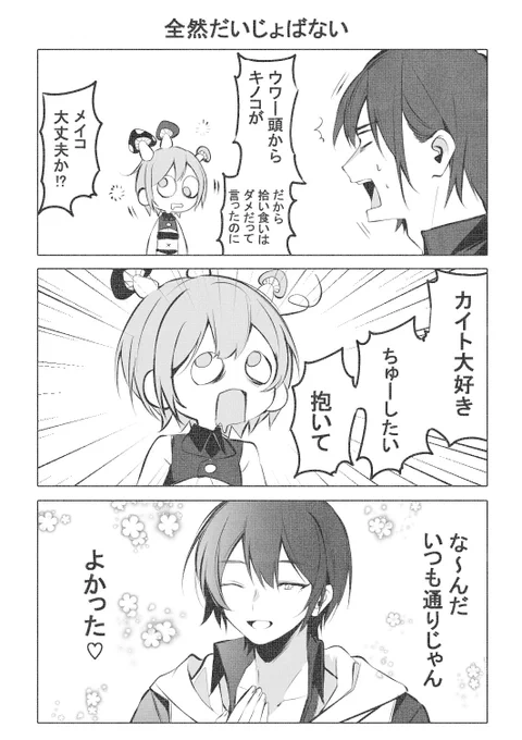 今日のカイメイ 