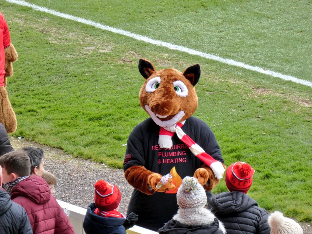 Red Squirrel tweet media