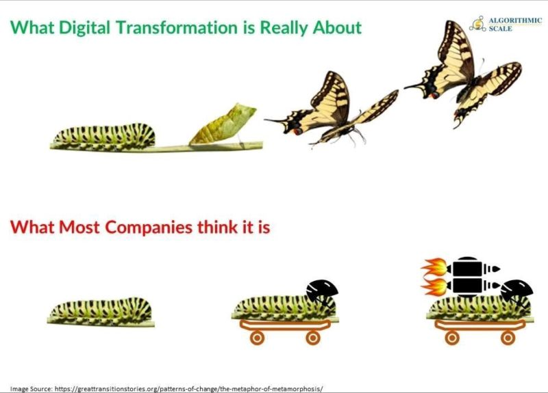 There is a reason our books had a butterfly on the cover. 

container-solutions.com/oreilly-cloud-…