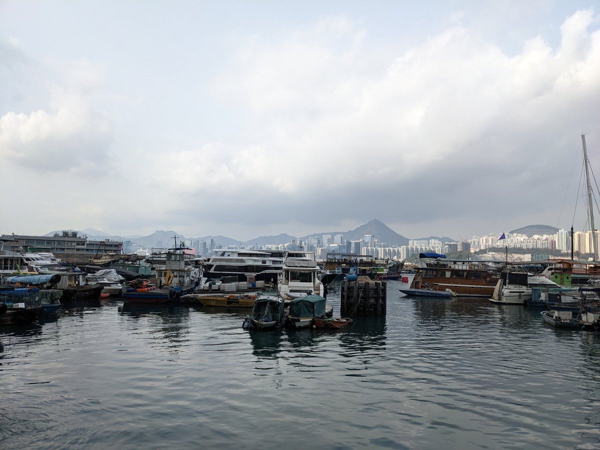 Mary Grygleski tweet media