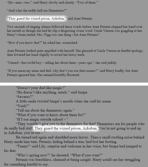 PotterWorldUK's tweet photo. Petunia didn’t mean James Potter. She meant Severus Snape. https://t.co/drh0Z1u8T7