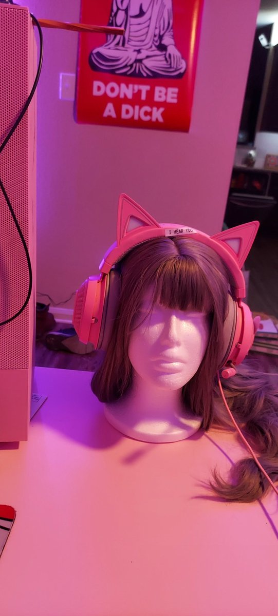 I couldn't afford a headset stand but luckily I already own bunches of wigs 🤣