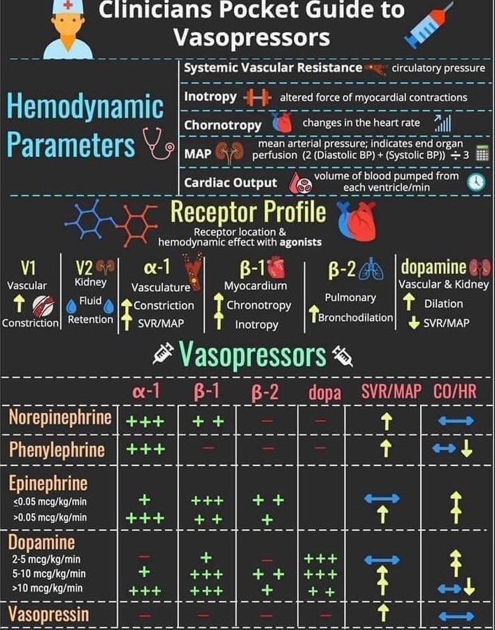 BrownJHM's tweet photo. Clinicians Pocket Guide to Vasopressors @theABofPharmaC #MedEd #Medtwitter #FOAMed https://t.co/2MLt9HLG2T
