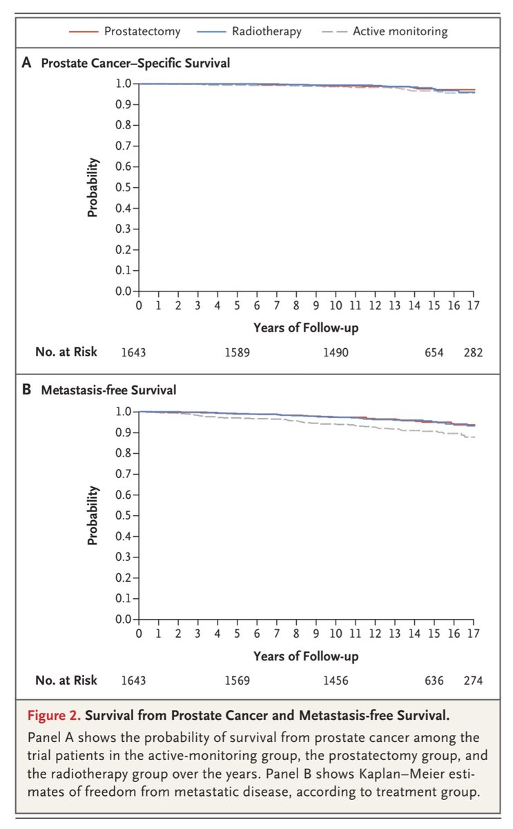 Alastair Lamb tweet media