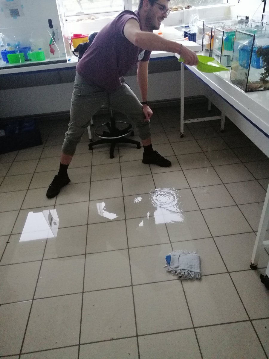 Thomas Schwaha tweet media