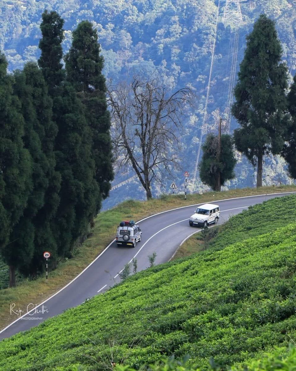 IndiaTales7's tweet photo. 10 Stunningly Offbeat destinations to visit in Northeast India 

1. Temi Tea Garden, South Sikkim https://t.co/ZCV1r2x6tJ