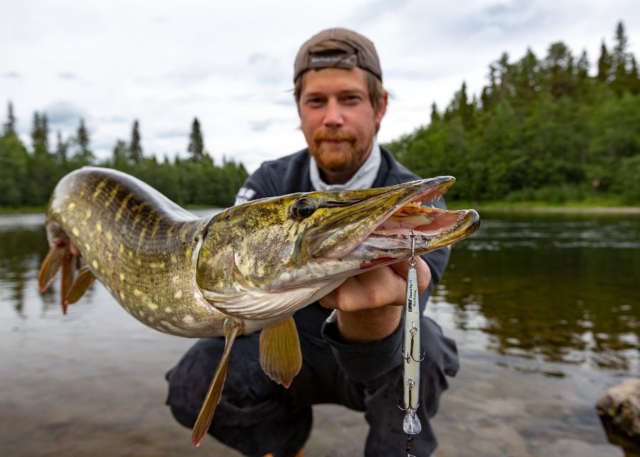 TomsCatchCom's tweet photo. Best Pike Fishing in Sweden 🐊 - https://t.co/k1plocDYYF https://t.co/uFw4vV0nDR