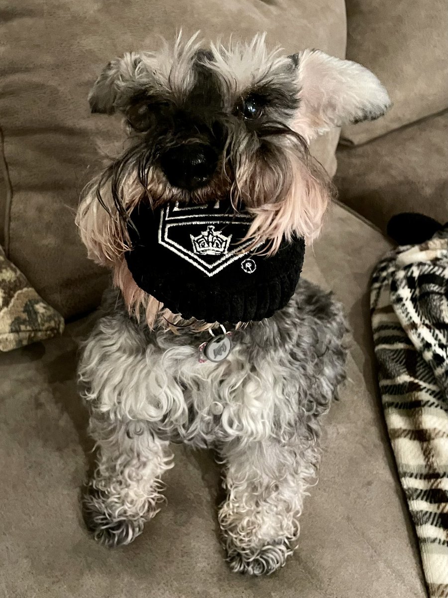The Kings got a point, @GustlTweets dropped the puck, and Mom & Dad brought home these cool new toys!! Thanks @LAKings and @ZippyPaws! #GoKingsGo