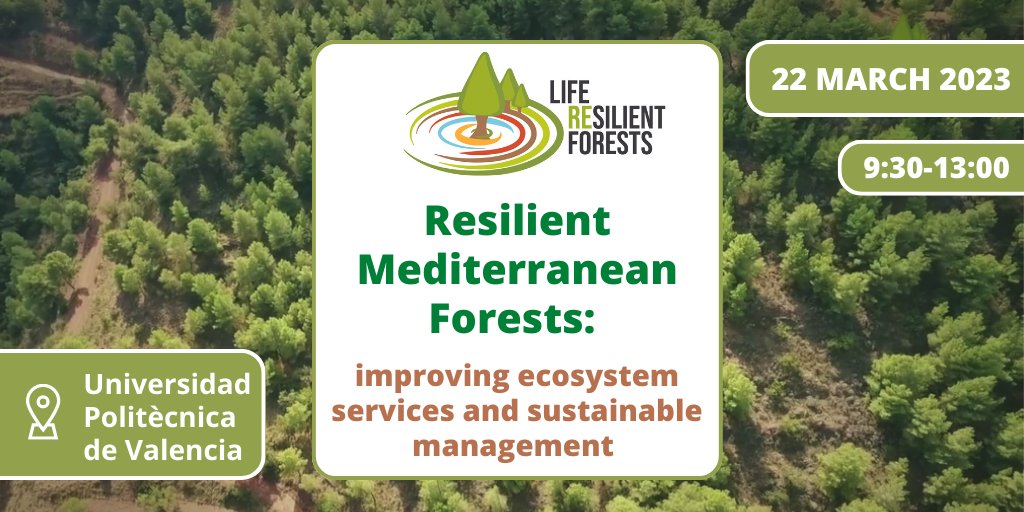 🙌It´s possible to attend ONLINE to our final meeting. 
🤔Do you join us?
👉Here you can find the program and the register. 
✔️ bit.ly/3y6GVCG
⏰9,30 to 13.00h. 
#forestManagement🌳🌲 #SustainableManagement