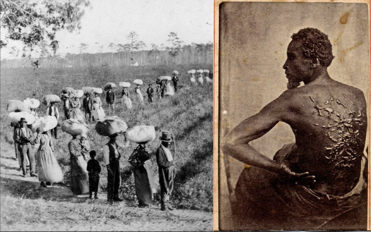 rogsonl's tweet photo. @ScottAdamsSays The slavery era below has certainly stopped. Why can't you believe the era of the KKK is over.  Can't we accept progress as an essential part of human nature? We may not see the end of the journey, but we are not exempt from getting under way and expediting it. https://t.co/JldPSQYNyT