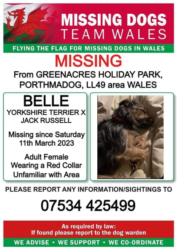 gelert01's tweet photo. ‼️BELLE MISSING IN AN UNFAMILIAR AREA‼️
‼️GREENACRES HOLIDAY PARK PORTHMADOG LL49 area WALES‼️
‼️11/03/2023
‼️Wearing a Red collar @missingdogwales @Anthony_Bailey_ @CarolPoyerPeett @rosiedoc666 @RachaelB100 @juliagarland73 @KarenFi51820768 @muddypawscrime https://t.co/gmmFyh15Pd