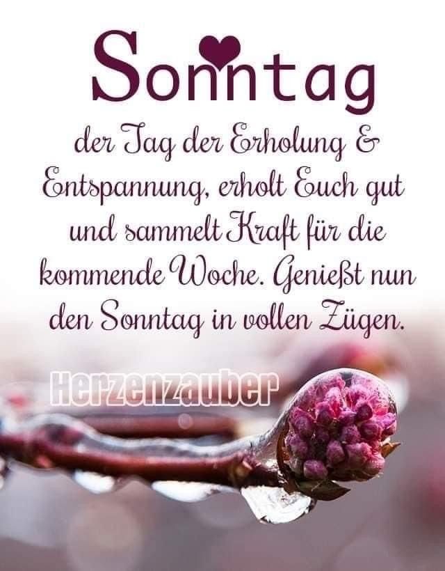 Ich Wünsche Euch Allen Einen Schönen Sonntag 》𝙒𝙤𝙡𝙛𝙞《 on Twitter: "Ich wünsche Euch allen einen wunderschönen guten