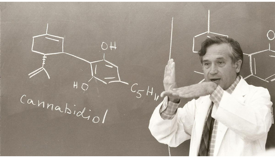 CannabisNewsGr's tweet photo. Αφιέρωμα στον Raphael Mechoulam, τον «πατέρα της φαρμακευτικής κάνναβης»
.
https://t.co/y1RbQKCT7D
.
Εικόνες και διηγήσεις από τη ζωή του επιστήμονα που έφυγε απ' τη ζωή στα 93 του, αφού πρώτα έστρεψε το βλέμμα της παγκόσμιας επιστημονικής κοινότητας στο φυτό.
via @YouMaySay_Mag https://t.co/pTvViu6uku