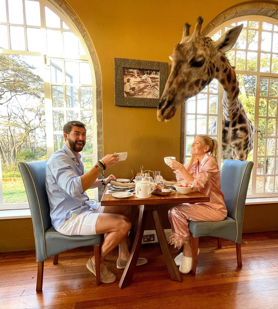 giraffe_manor tweet picture