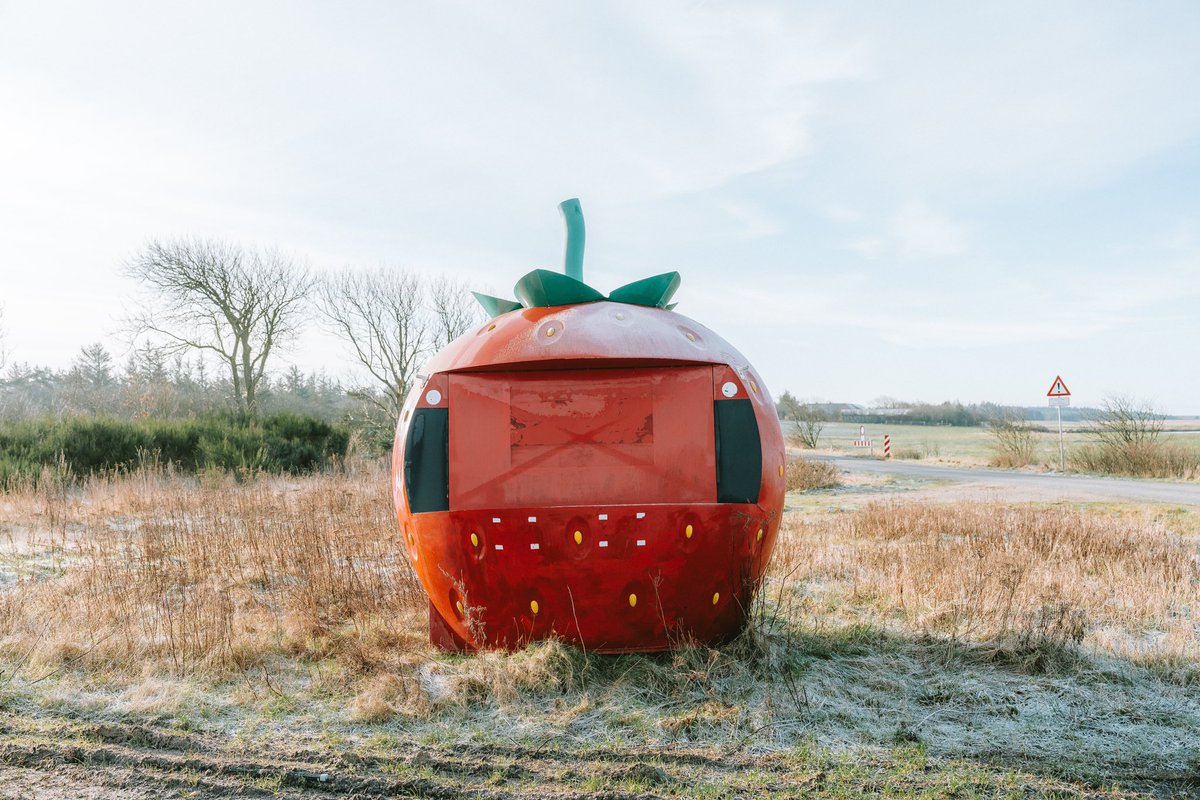 jamespopsys's tweet photo. Every now and then, I remember my twitter password. 

Anyway here’s a giant strawberry in Denmark. https://t.co/sPfvhz2YvO