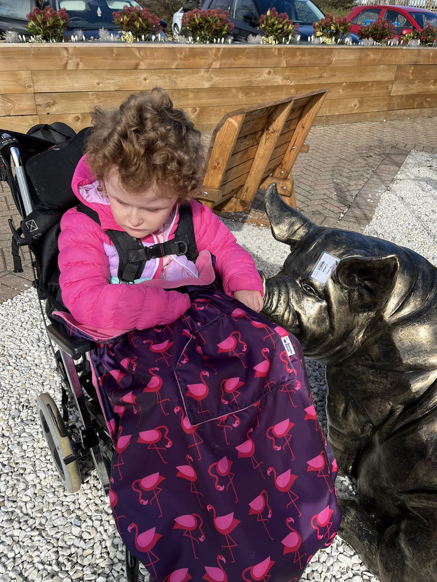marjorie_and_me's tweet photo. C and I had a classic Saturday: we popped out to the garden centre for some fresh air and sweet treats, touched a £1000 metal pig ornament and took a car selfie. All in all a great day!!
@frostsgardens
#PMLD #MakingEveryDayMatter #MakingMemories #ClassicSaturday #Freelance https://t.co/3NzNE68JFz