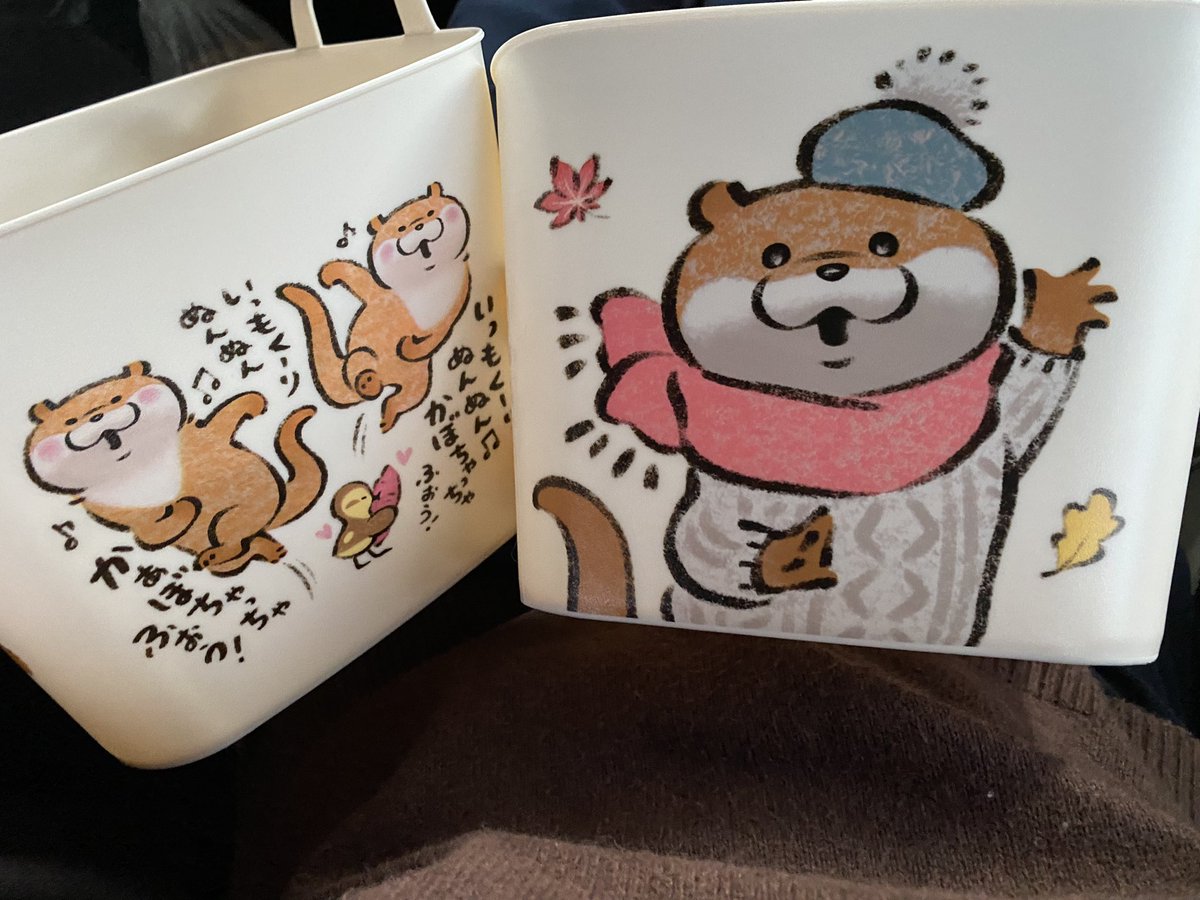 🟢🌱まめ豆太🌱🟢 (@mame_mameta0622) / Posts / X