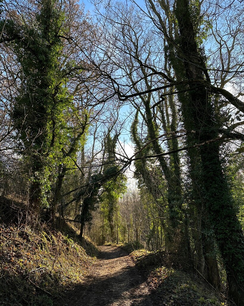 Splodz's tweet image. Where and how will you get #OneHourOutside (or more...) today? 

It's Sunday morning, so chores are probably a must (they are here!). But how about also carving out just a little time for the outdoors? Treat yourself to some fresh air and natural light i… instagr.am/p/CprnrwaIy4A/