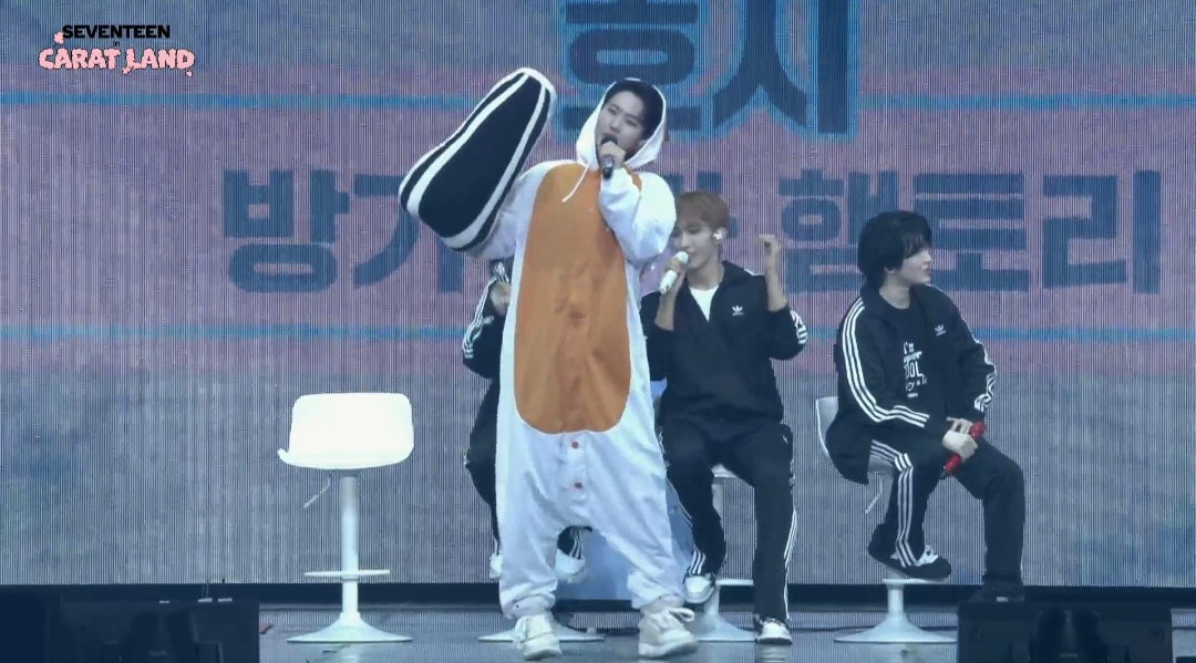 pledis_17's Hoshi dressed up as Hamtori! #SEVENTEEN #CARATLAND #HOSHI