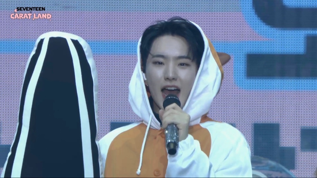 pledis_17's Hoshi dressed up as Hamtori! #SEVENTEEN #CARATLAND #HOSHI