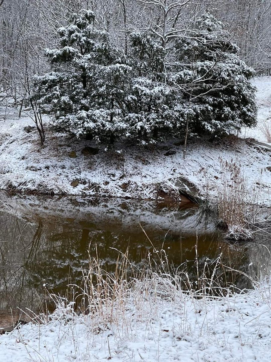 ELK101A's tweet photo. 3.12.23 Sunday Mornings Central Pa https://t.co/X9c8ajLsc8