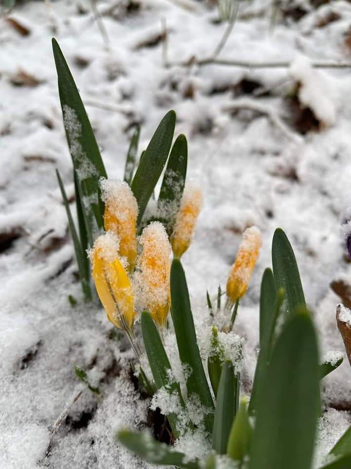 3.12.23 Sunday Mornings Central Pa