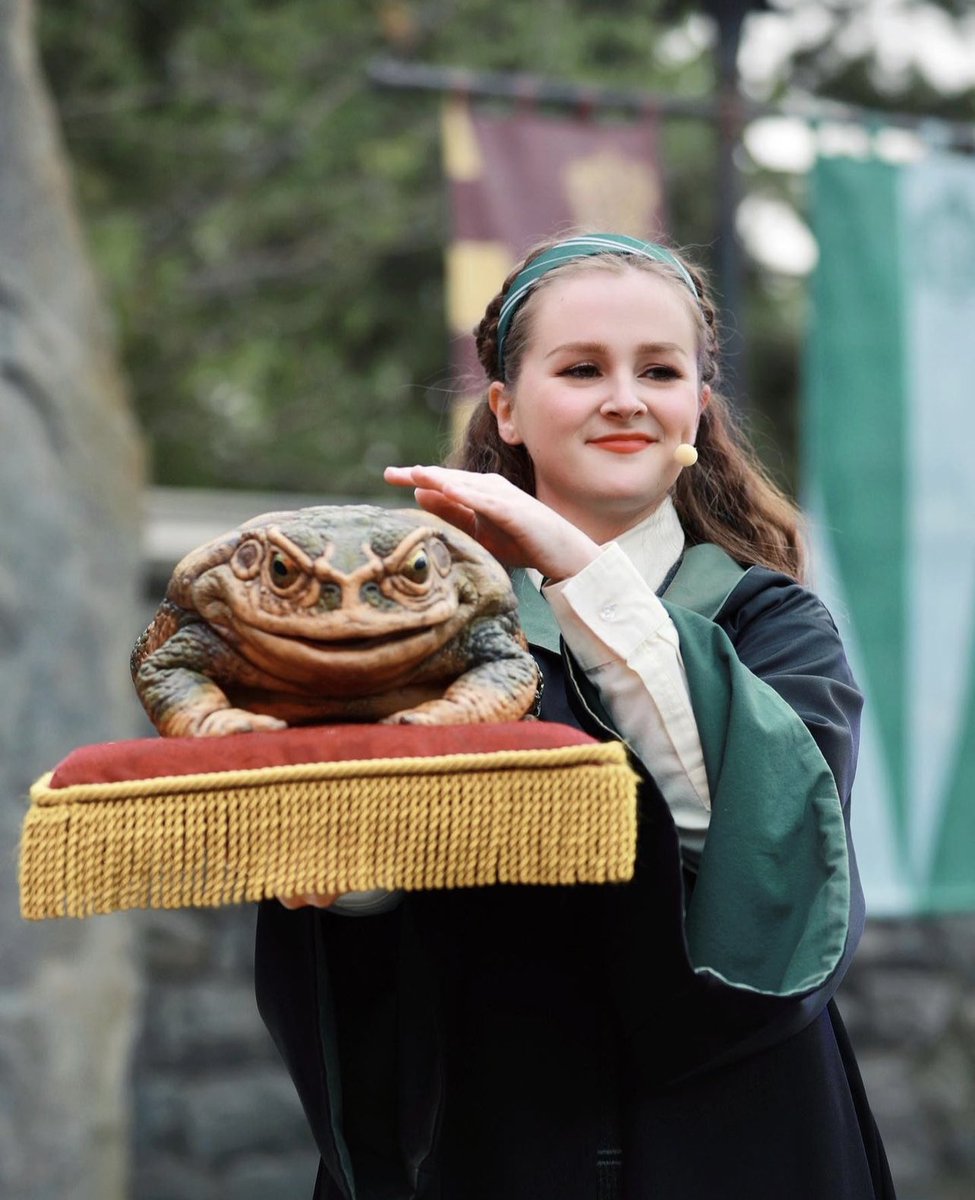 hurte_jillian's tweet photo. another new student joined the choir this week💚🐍✨ https://t.co/lg5nET9vRm