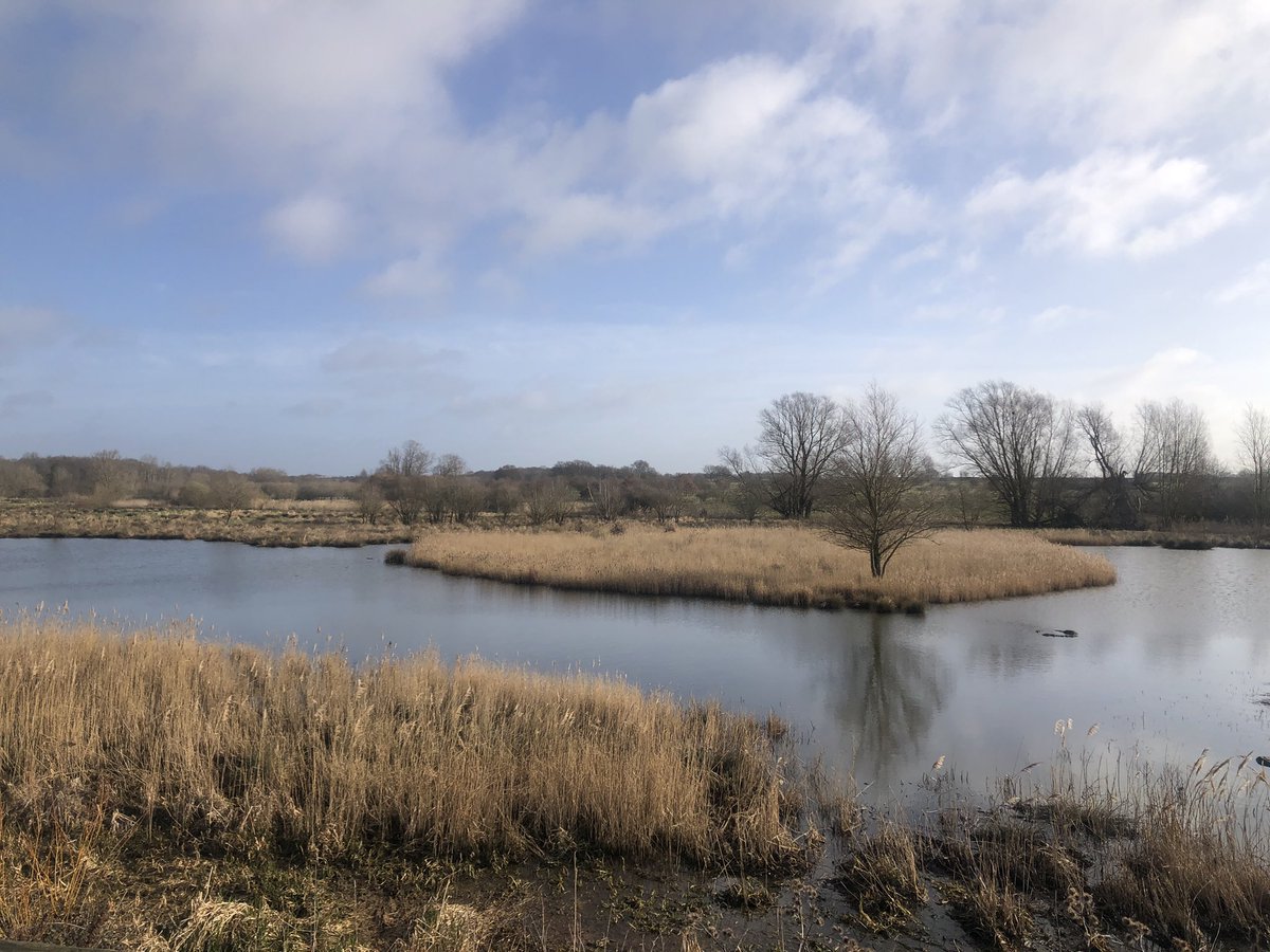 mdrakes1's tweet photo. Much warmer☀️ morning in the country park 🥵. 20% of 2023 gone already! 81/170km completed for #REDMarch @TeachersRunClub @WeAreERC #ukrunchat #nikerunclub https://t.co/e2ajJJSvD1