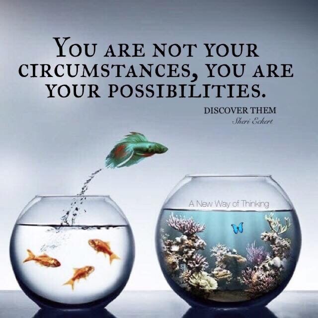 This__Is__John's tweet image. You Are Not Your Circumstances, You Are Your Possibilities. #Circumstance #Possibilities #TruthWins #Motivation #Inspiration #Quote #Goldenhearts #Babygo #Thinkbigsundaywithmarsha