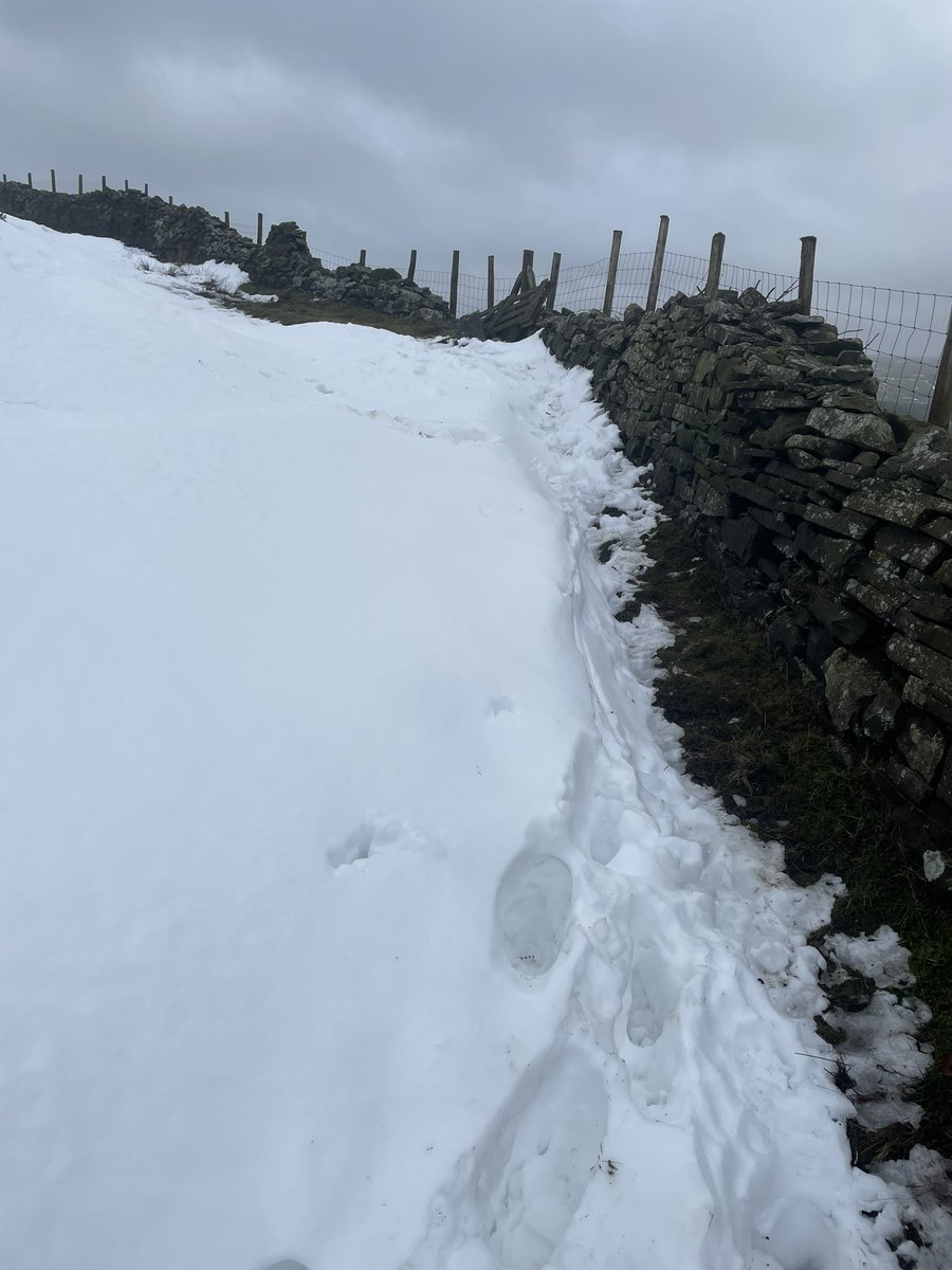 mattjarratt2's tweet photo. Still knee deep on some paths 😂 https://t.co/OhqDQLKDEx