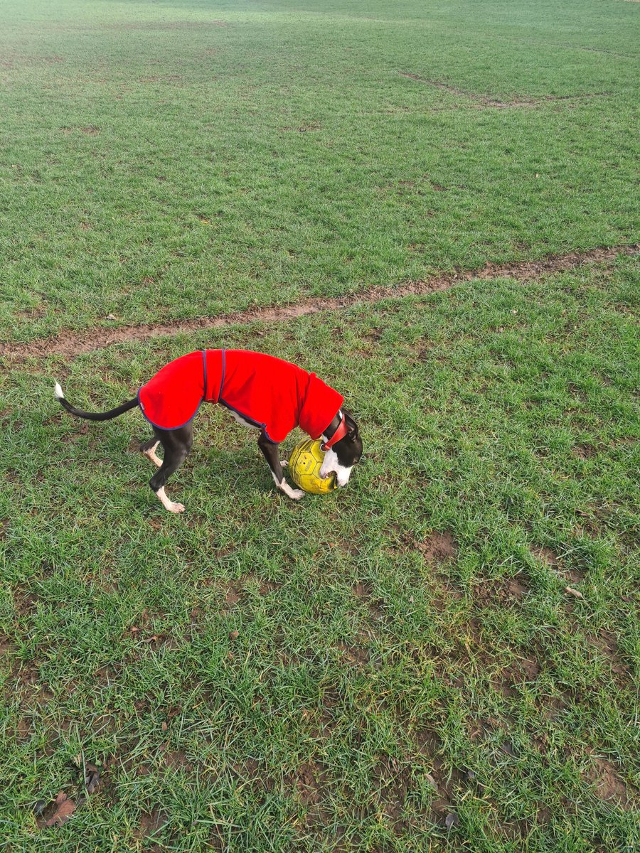 Mark Eltringham tweet media