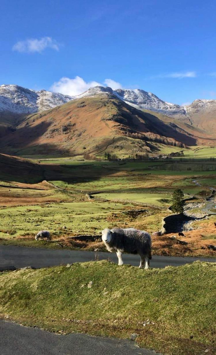 Langdale, Cumbria

Good morning and happy Sunday lovely twitter friends😊