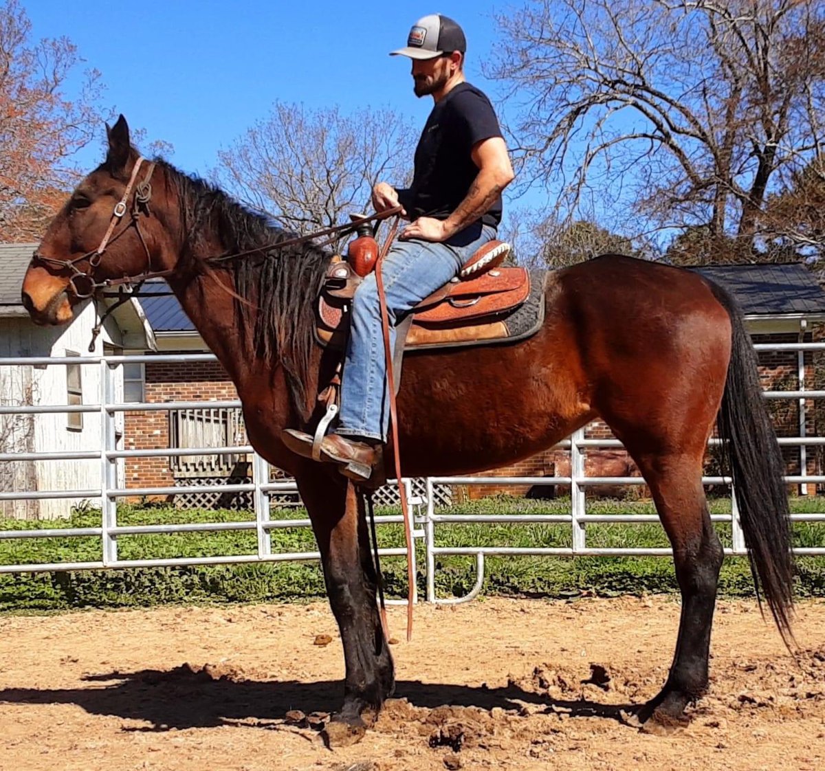 TEN OCLOCK NEWS
5JN74 
23 Starts / 2 Wins / $8,378 Earnings 

Asheboro, NC
Status at at 3/11: IN PEN