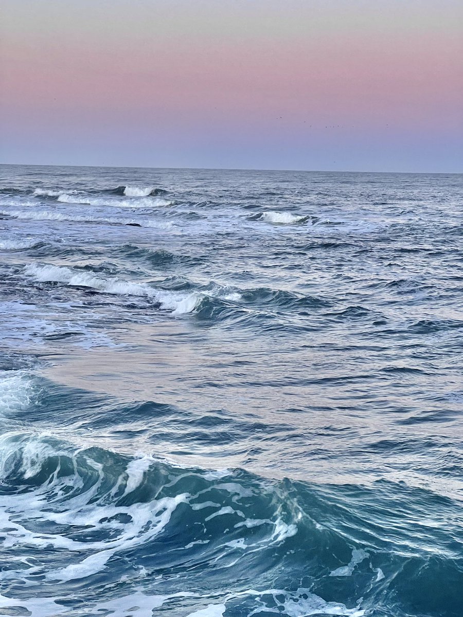 CoastalCustodia's tweet photo. Follow me over on Instagram and Facebook for lots more daily #Northumberland updates #localinformation #news #updates #coast #country #whatson #events #eats #daysout #dogfriendly https://t.co/T0P8P6bBTq