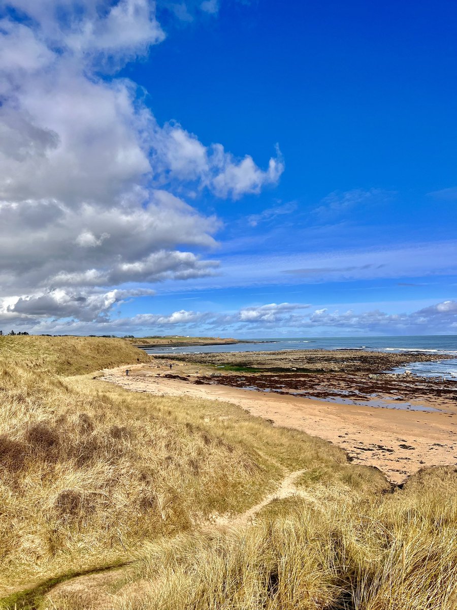CoastalCustodia's tweet photo. Follow me over on Instagram and Facebook for lots more daily #Northumberland updates #localinformation #news #updates #coast #country #whatson #events #eats #daysout #dogfriendly https://t.co/T0P8P6bBTq