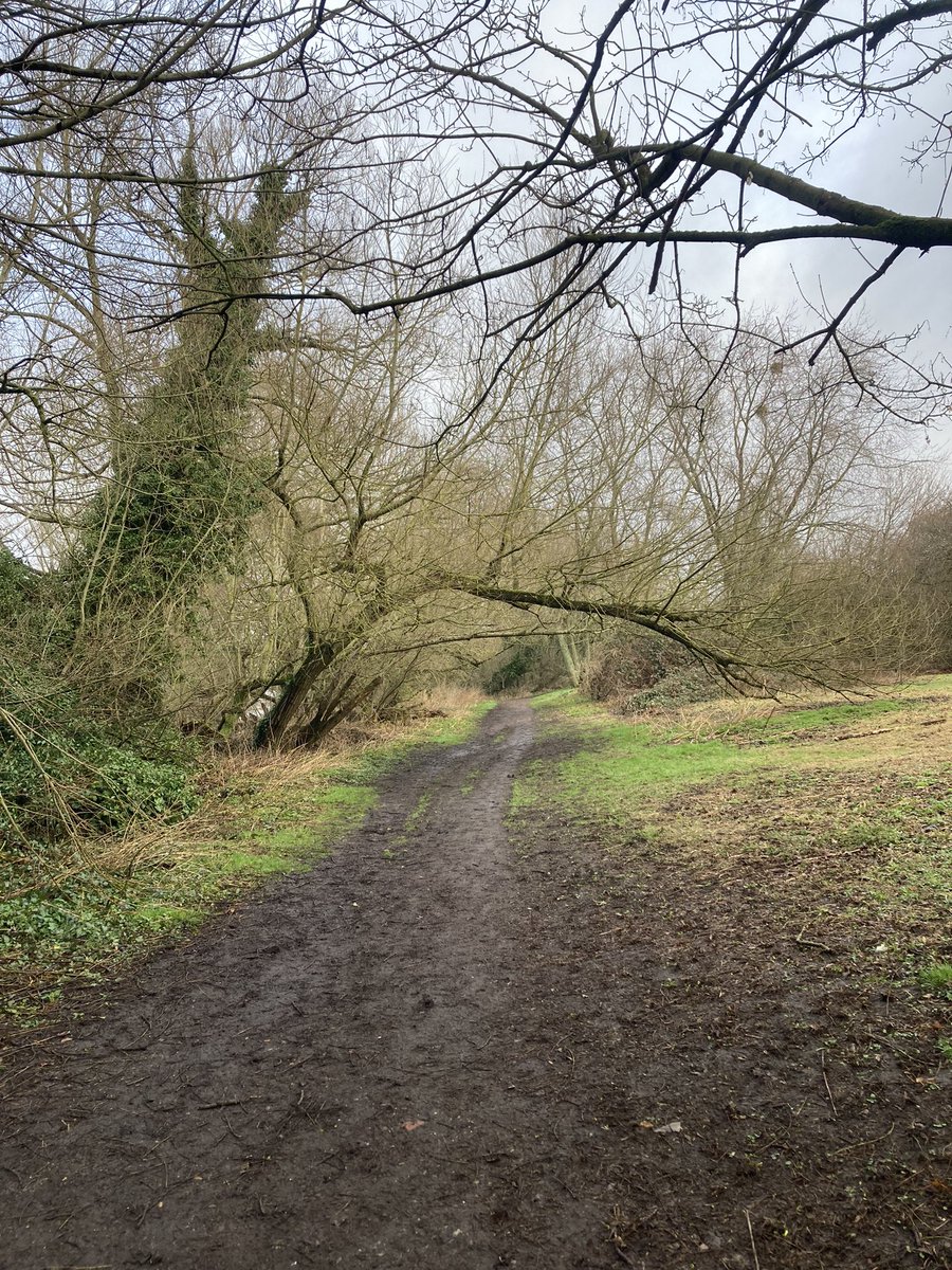 zchard7's tweet photo. Not the planned weekend of running and gutted to be missing #larmertree but a lovely Sunday run all the same, @RunComPod for company :) Happy Sunday all xx https://t.co/Jqfy9pOcgL