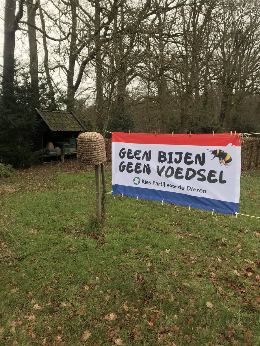 Herman Pronk (@hermanshoning) on Twitter photo #HetKanAnders Stem NU #GeenBijenGeenVoedsel 🐝🐝🐝 #WildeBijen #Natuur #EcologischBelangBovenEconomischBelang #GlyfosaatSoap #Parkinson <a href="/Klimaatverbond/">Klimaatverbond Nederland</a> <a href="/klimaatpersco/">Klimaatpersco</a> <a href="/pvdd_enschede/">Partij voor de Dieren Enschede.</a> <a href="/JudithHofte/">Judith Hofte</a> <a href="/mariannethieme/">Marianne Thieme</a> <a href="/estherouwehand/">Esther Ouwehand</a> 🐝🐝🐝🐝🐝🐝🐝🐝🐝🐝🐝🐝💚 #HetKanAnders Stem NU #GeenBijenGeenVoedsel 🐝🐝🐝 #WildeBijen #Natuur #EcologischBelangBovenEconomischBelang #GlyfosaatSoap #Parkinson <a href="/Klimaatverbond/">Klimaatverbond Nederland</a> <a href="/klimaatpersco/">Klimaatpersco</a> <a href="/pvdd_enschede/">Partij voor de Dieren Enschede.</a> <a href="/JudithHofte/">Judith Hofte</a> <a href="/mariannethieme/">Marianne Thieme</a> <a href="/estherouwehand/">Esther Ouwehand</a> 🐝🐝🐝🐝🐝🐝🐝🐝🐝🐝🐝🐝💚