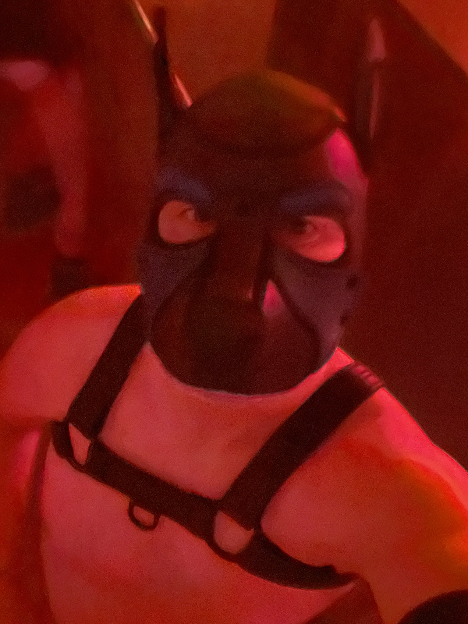 First time as a puppy to #darklandsfest and had a blast. https://t.co/wCLUCNCkd6