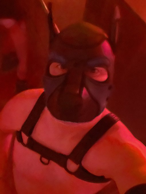 First time as a puppy to #darklandsfest and had a blast. https://t.co/wCLUCNCkd6
