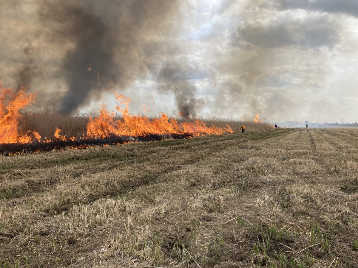 Jun Nishihiro / 西廣 淳 on Twitter 