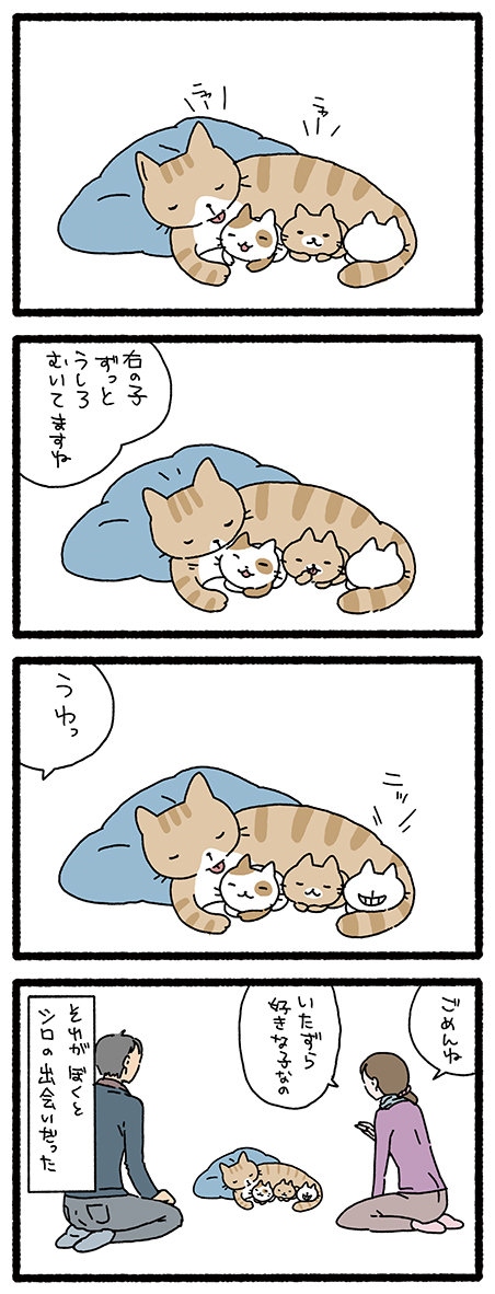 ねこようかい のっぺらぼう #ねこようかい 