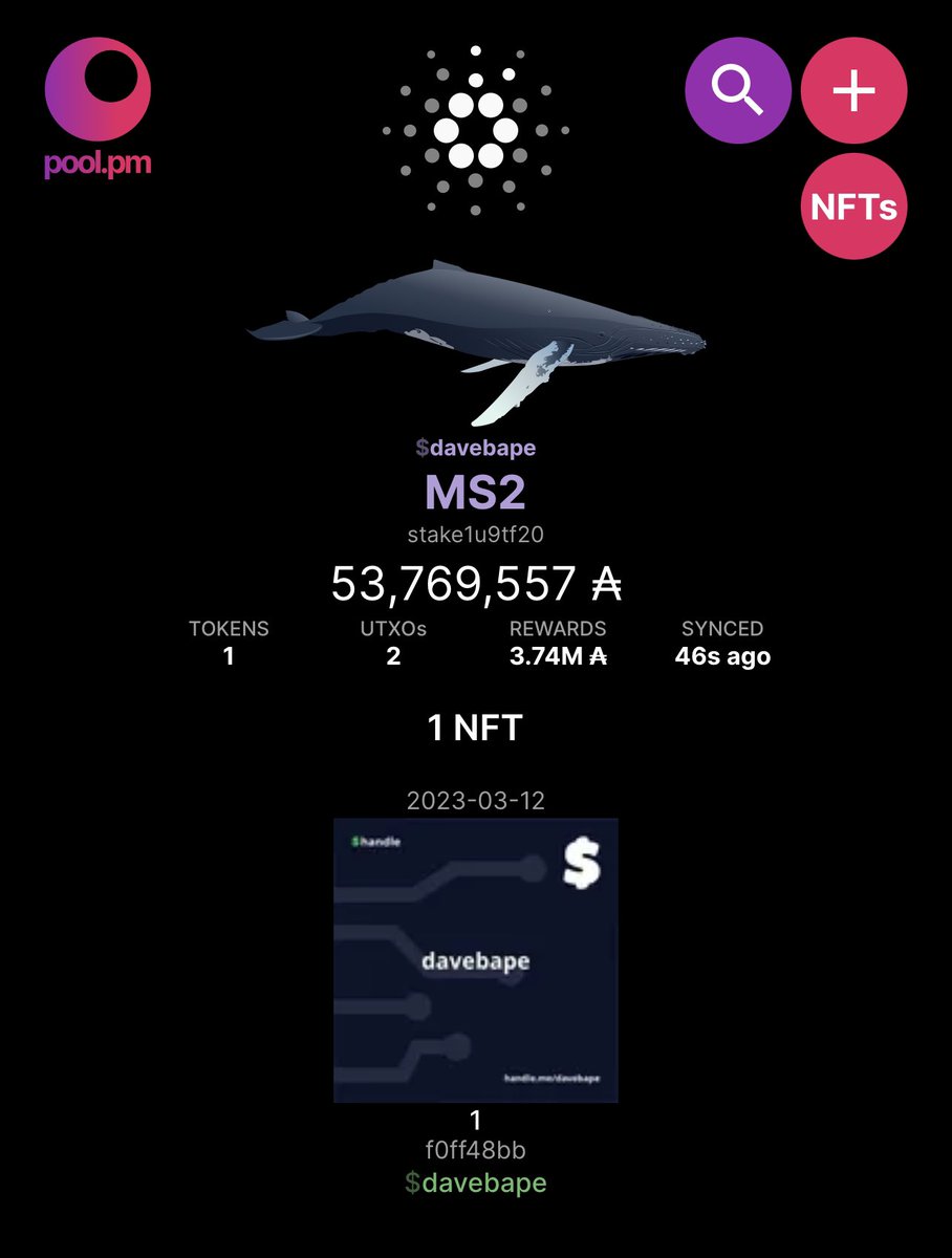 BAPEFROMDAVE tweet media