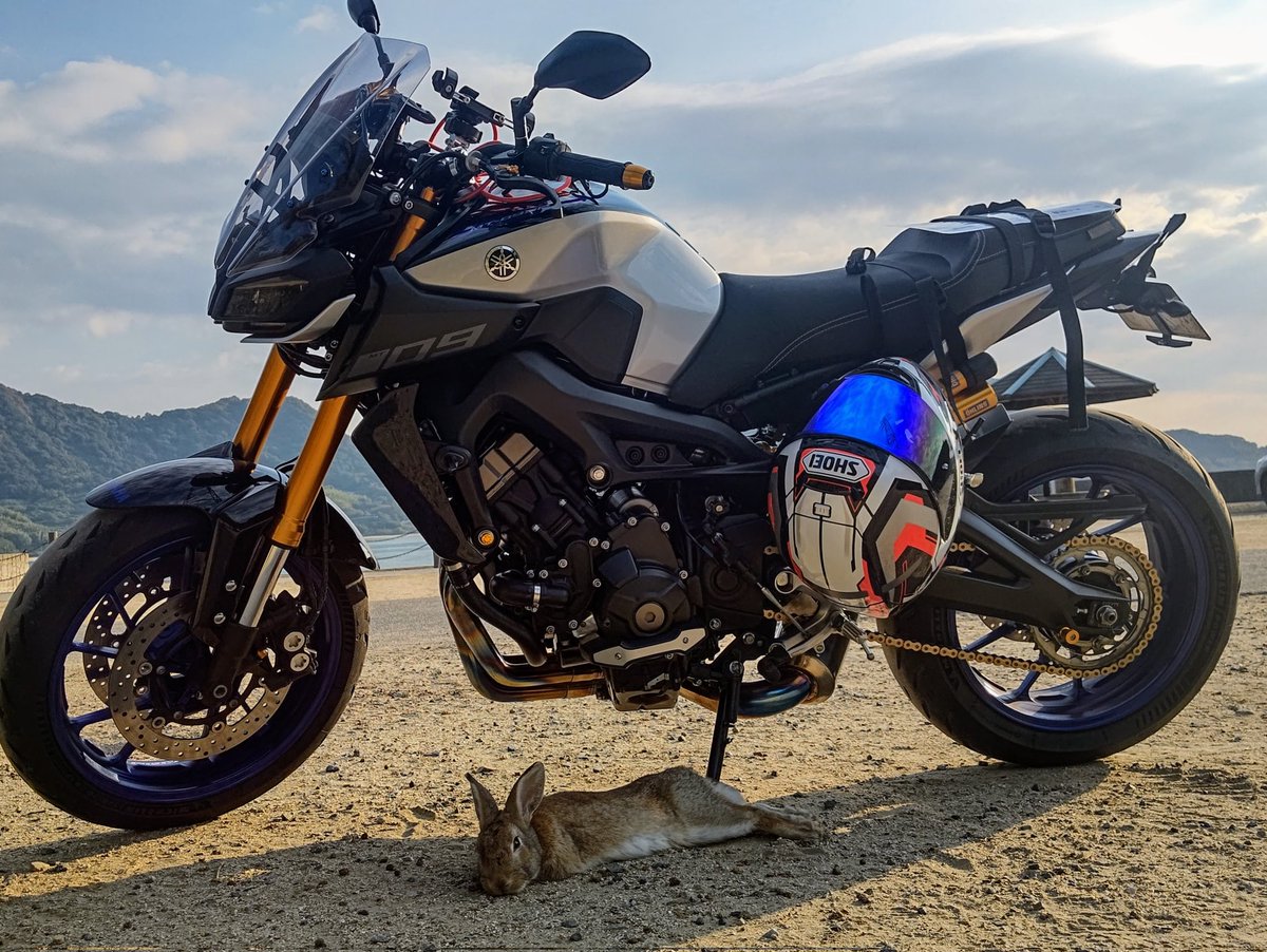 ストライダー麻美RX🐰 tweet media