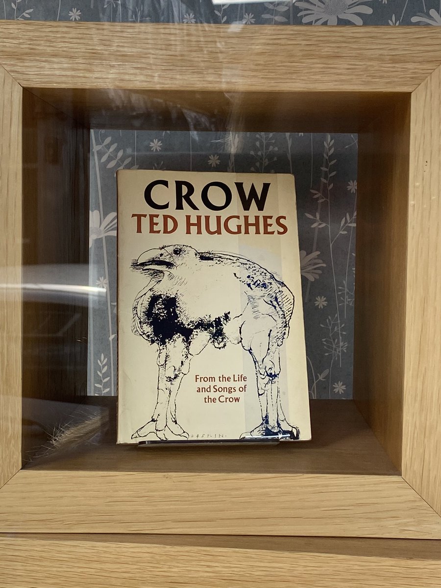 Um…apparently this is a crow?!

Has anyone read this and can tell me why it has to look so freaky looking? 👀 

#tedhughes 
#crow