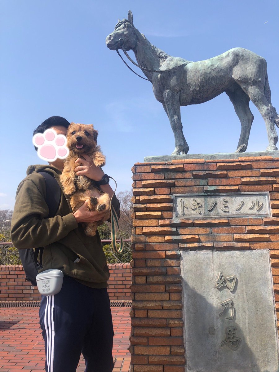 chubbydesu75's tweet photo. 今日はすごく広くて芝生が綺麗な、根岸森林公園に行ってきたわん🐾
大きな建物は昔の競馬場で、馬の博物館があって馬もいたわんね🐴
芝生も気持ち良くて、クン活もいっぱいできてオススメだわん🐶！

#犬のいる暮らし https://t.co/l7ueltSEHu