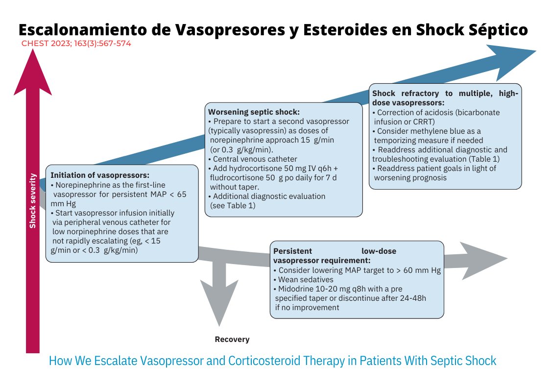 LeonardoSotoMu's tweet photo. Escalonamiento de vasopresores y corticoides en shock séptico:
https://t.co/tq4XVqLqaq
vía: @CritCareReviews https://t.co/0JJwlMwB0F